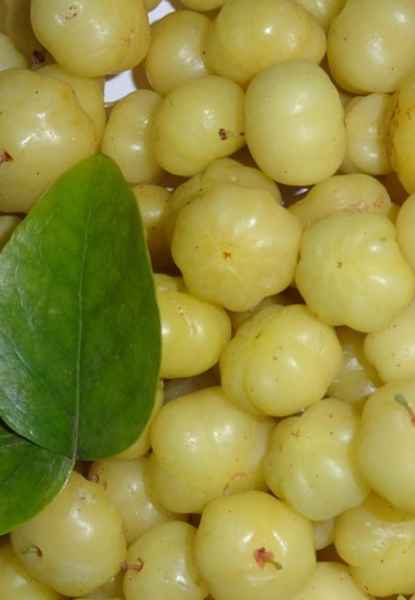 Aamla Ke Fayde, isme vitamin c bharpoor hota hai 