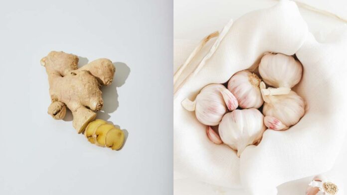 ginger garlic paste banane ke liye dono ko liya gaya hai